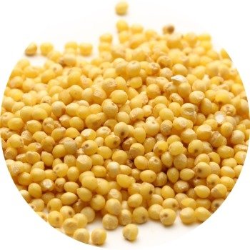 Millet Yellow